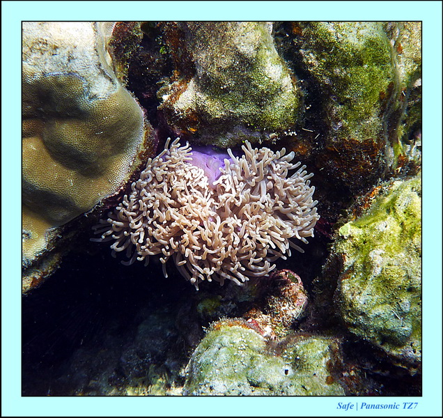 2011 - 03 - Koh Rok 40